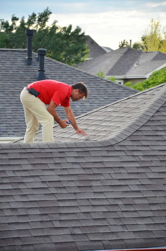 Roof Repair Consultation